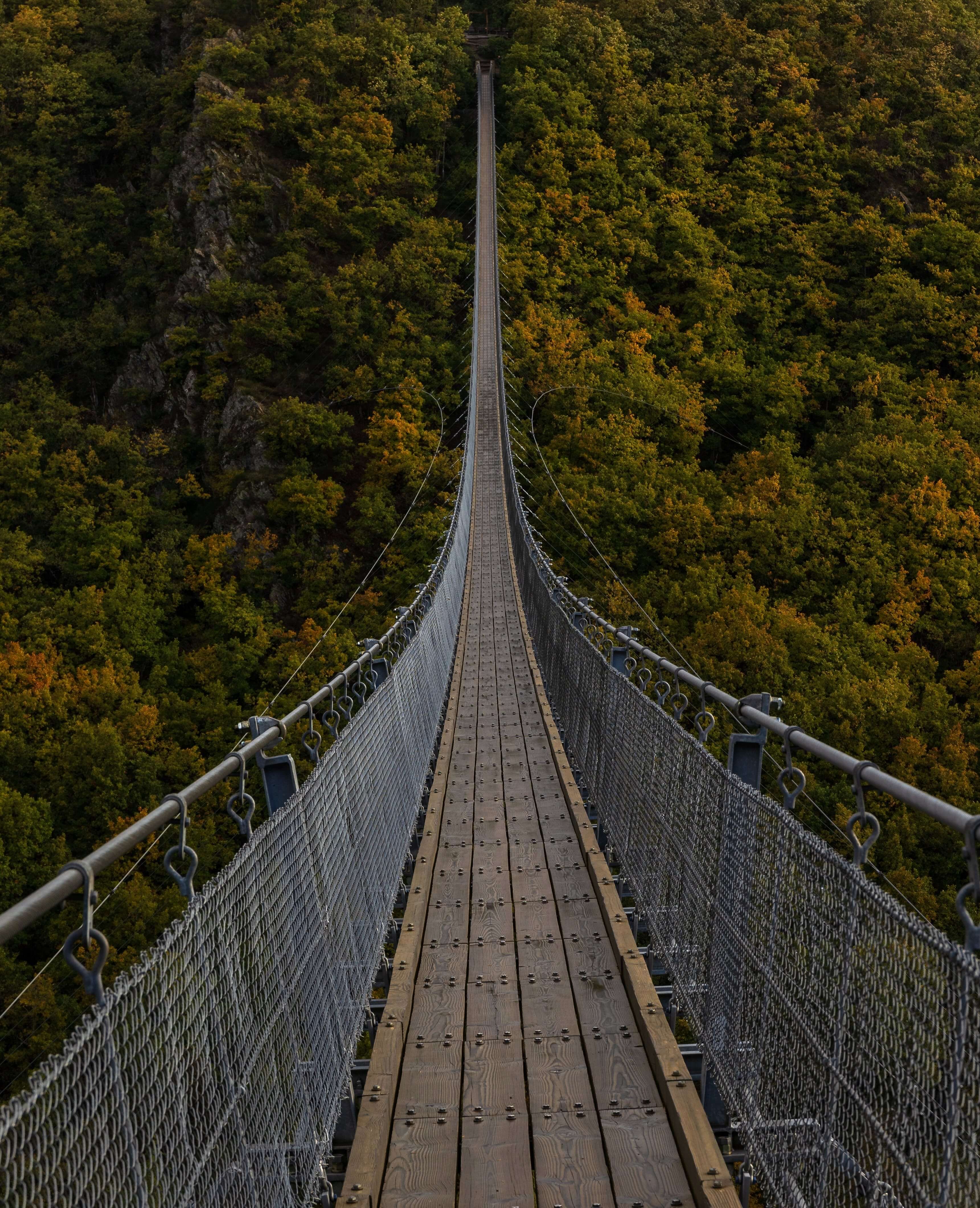long bridge over the forest